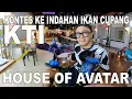 Lagu KONTES KEINDAHAN IKAN CUPANG KTI HOUSE OF AVATAR