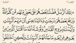 سورة البقرة مكررة من آية 253 إلى 256 القارئ وديع اليمني 