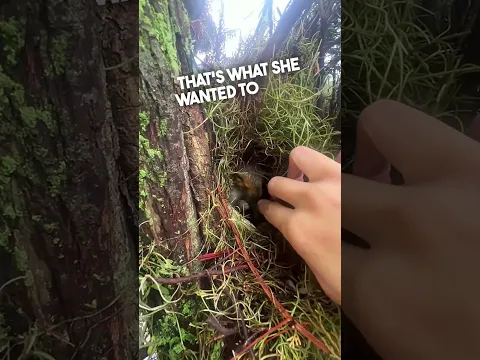 This Squirrel Wanted To Show Something...🥹