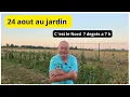 Download Lagu Visite du jardin de Philippe le 24 août   7 degrés  à 7h du matin !