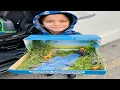 Grassland Habitat Diorama Project By Shahadat Kindergarten Habitat School Project Using Shoe Box
