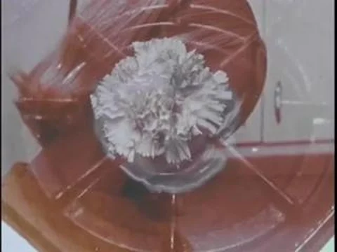 LSD: Insight or Insanity (Max Miller, 1968)