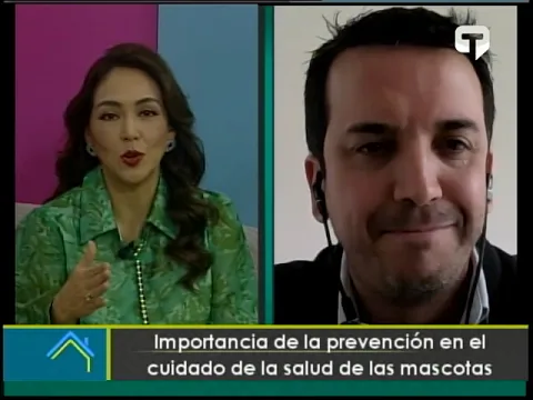 Importancia de la prevención en el cuidado de la salud de las mascotas