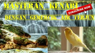 terapi kenari dengan air terjun dan burung di alam liar