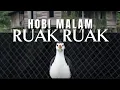 Lagu MAIN BURUNG MALAM