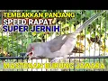Download Lagu Master Murai air mancur jernih tembakkan panjang panjang