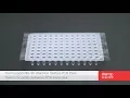 Learn how to seal a Thermo Scientific PCR plate