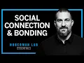 Essentials Science of Building Strong Social Bonds with Family Friends Romantic Partners