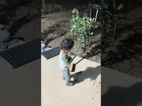 Entrenando a mi hijo