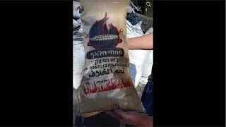 سر قطع اشجار مصر 