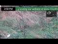 Live Camera Axis P5655-E