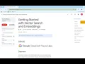 2025 Getting Started with Vector Search and Embeddings With Explanation