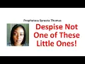 Despise Not One of These Little Ones