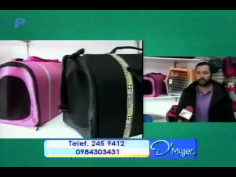 Traslado seguro y cómodo para mascotas