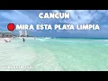 Cancun Playas Hermosas El Sargazo Empieza a Desaparecer 14 Agosto 2026