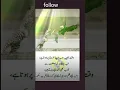 Download Lagu Tab sultan ki saltanat se nwab bhi uthha liye jaten hai #ytstatus #shortsfeed