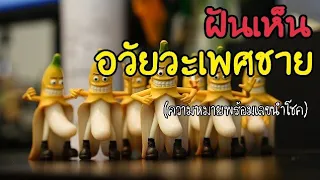 ทำนายฝัน ฝันเห็นอวัยวะเพศชาย ฝันเห็นของลับ ฝันเห็น ฝันว่า เลขนำโชค