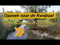 Download Lagu Kan ik de zeldzaamste vis van NL vangen?