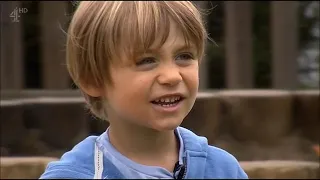 secret life of 4 5 u0026 6 year olds funny and cute moments