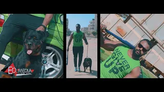 مهرجان عصفورة بتنقل الكلام دي مش رجوله مش هكلمك لاجل امك محمد زيزو زعبلاوي توزيع فلسطيني  مهرجان عصفورة بتنقل الكلام دي مش رجوله مش هكلمك لاجل امك محمد زيزو زعبلاوي توزيع فلسطيني