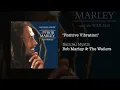 Positive Vibration (1995) - Bob Marley & The Wailers