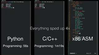 Python C and Assembly Side-by-Side Comparison