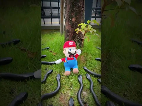 Where did they go#short #Mario #SuperMario