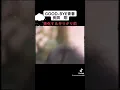 ♪Good-bye青春　長渕剛♪