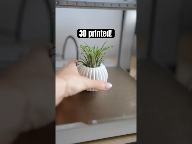 AIRIUS β Minimalist Airplant Holders video thumbnail