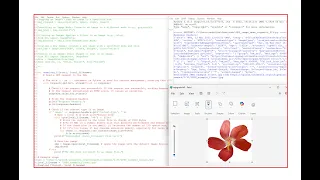 Downloading and Opening Images from Internet Using Python requests and pillow Libraries