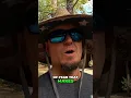 Leaf Removal Challenge Testing Blades for the Ultimate Yard Cleanup