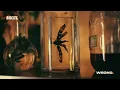 Biscits - Algorhythm [Official Visualiser]