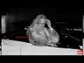 BIA - WE ON GO (RAGE MIX - Official Audio)