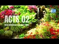 ACTS Chapter 2 Bible Verse Listening Plan