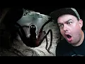 Download Lagu Spider Can HEAR My Microphone!