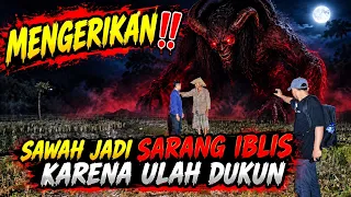🔴SAWAH JADI SARANG IBLIS KARENA ULAH DUKUN‼️