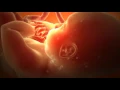 Download Lagu Prenatal sounds 2 hours, white noise - biały szum