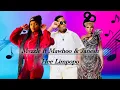 Lagu Mvzzle ft Mawhoo \u0026 Janesh- Hee Limpopo (Leskandi 2.0)