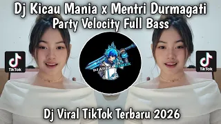 dj kicau kicau mania x mentri durmagati dj gass poll ndangak ndangak viral tiktok terbaru 2026