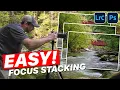 EASY Focus Stacking in Lightroom and Photoshop