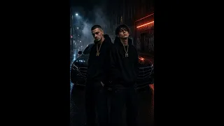 Fiatal Veterán × Pogány Induló – Renegát Remix