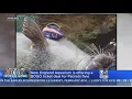 New England Aquarium Giving Weekend Ticket Discount For Patriots Fans