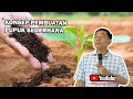 Lagu KONSEP PEMBUATAN PUPUK SEDERHANA #bayudiningrat #bayusehatmandiri