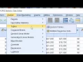 SPSS Statistics 24 Custom Tables