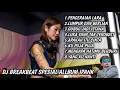 Lagu DJ BREAKBEAT FULL BASS 2025 | DJ PENCERAIAN LARA FULL ALBUM IPANK