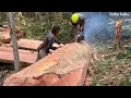 Download Lagu AMAZING, THE SACRED TREE AS ​​BIG AS AN ELEPHANT IS DIFFICULT TO SPLIT-pembelahan kayu kramat‼️