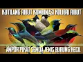Download Lagu burung kutilang ribut kombinasi Kolibri ribut ampuh pikat burung kecik