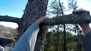 Acorn to Arabella – Journey of a Wooden Boat – Episode 22: Great Grandpappy’s Gift from the Grave