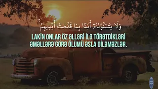                          دندنها