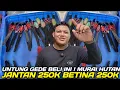 JUAL KILAT ! MURAI HUTAN JANTAN 250 RIBU BETINA 250 RIBU DIKIOS SENDY PASAR BURUNG PRAMUKA HARI INI